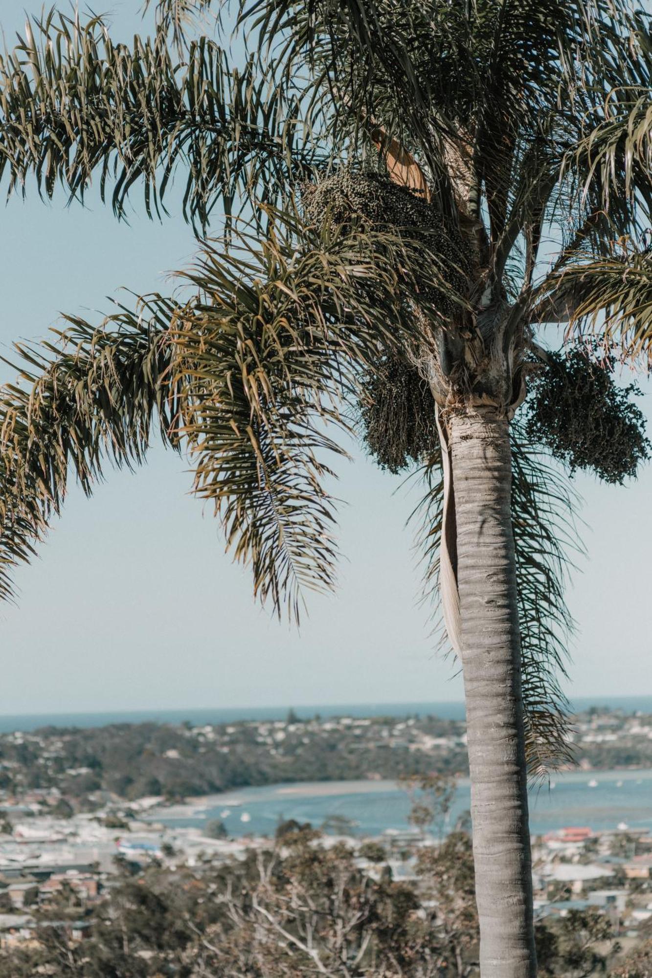 Hillcrest 4* Merimbula